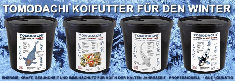 Tomodachi Winter Koifutter günstig im Tomodachi Koifuttershop kaufen