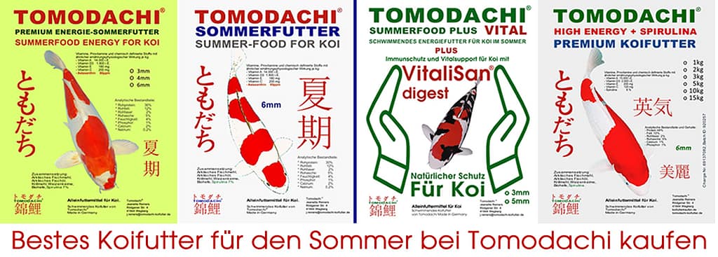 Tomodachi Sommerfutter für Koi günstig online kaufen