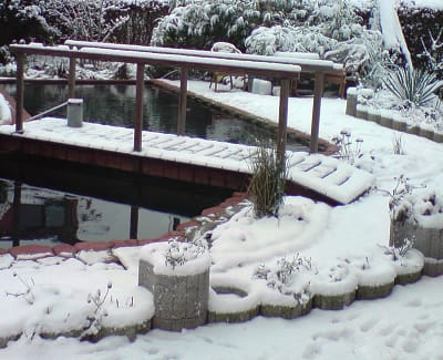 Koifutter für den Winter kaufen Sie günstig im Tomodachi Koifuttershop