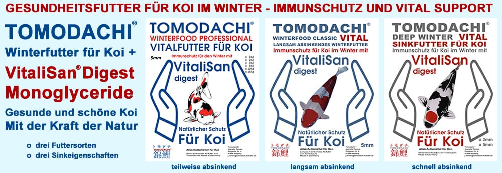Antibakterielles Gesundheitsfutter für Koi im Winter günstig bei Tomodachi kaufen.